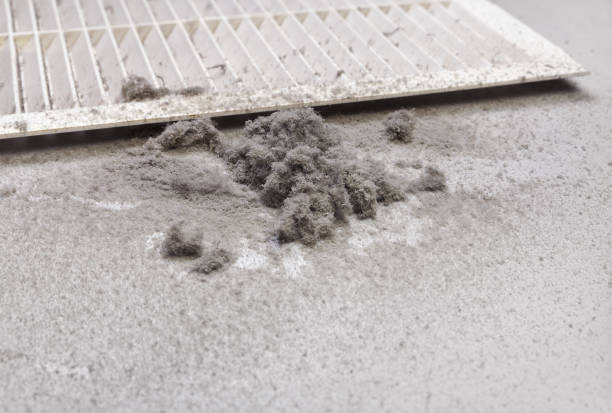 Best Affordable HVAC Duct Cleaning  in Dunkirk, IN