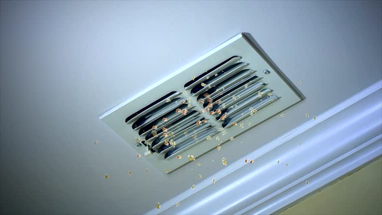 Best Professional Duct Cleaning Services  in Dunkirk, IN